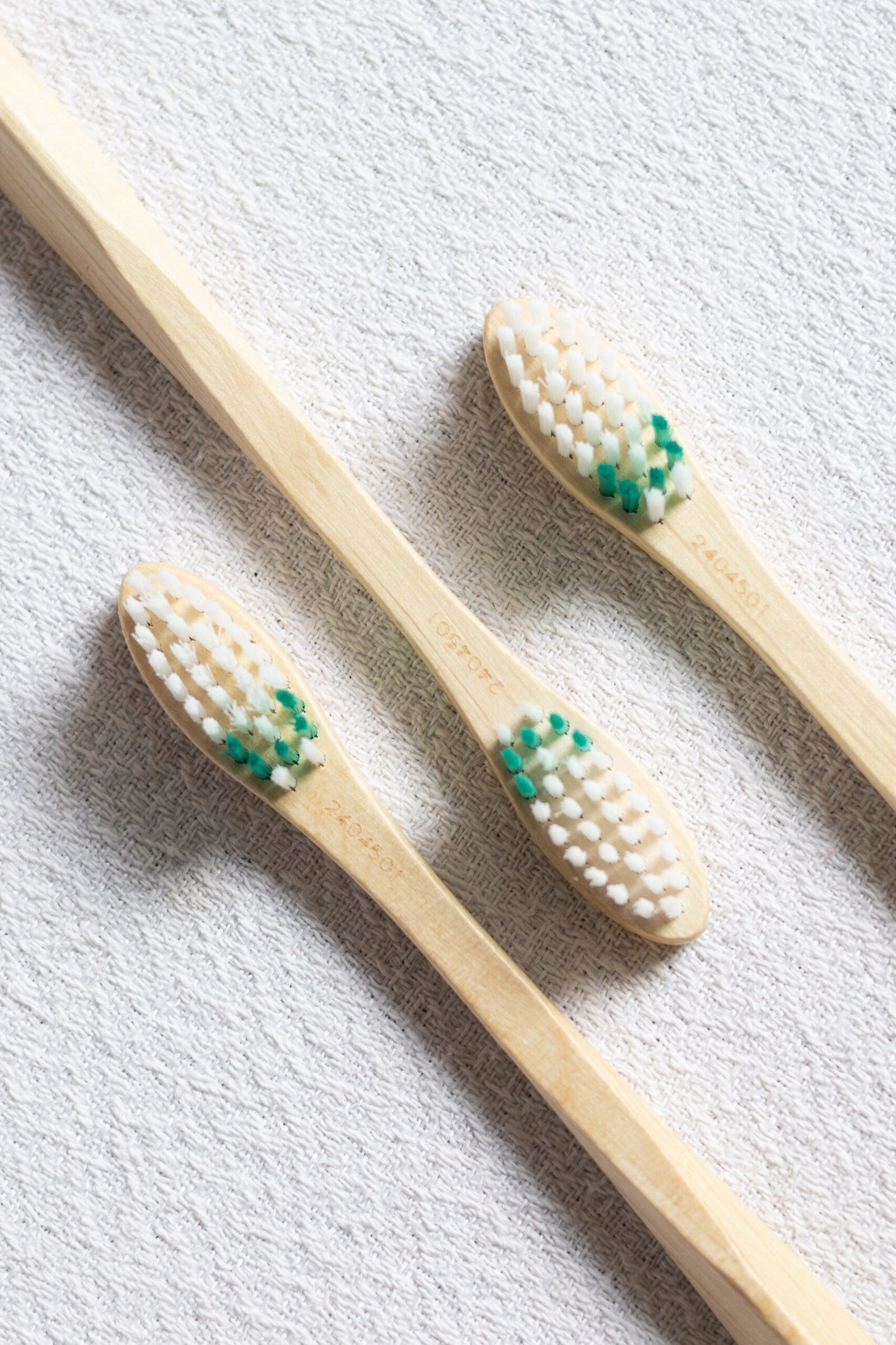 brosses-dents-compostables